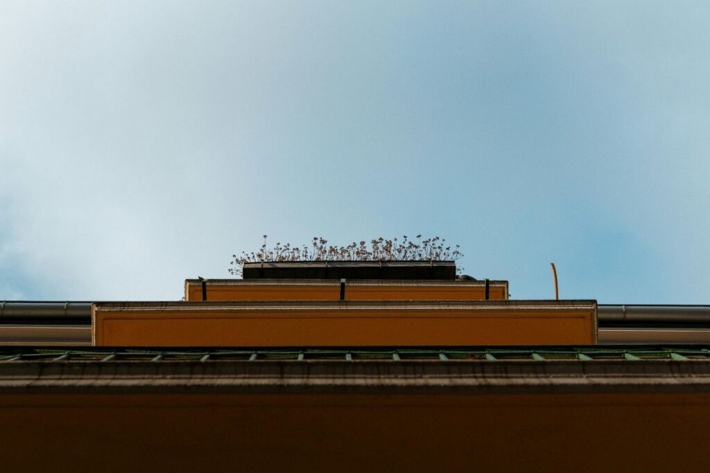 wilgotność mieszkania lub domu przy odbiorze